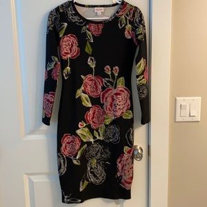 Women’s LulaRoe Debbie dress